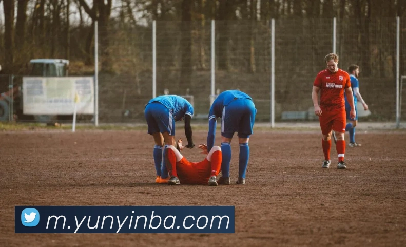 nba投注网站平台生态图